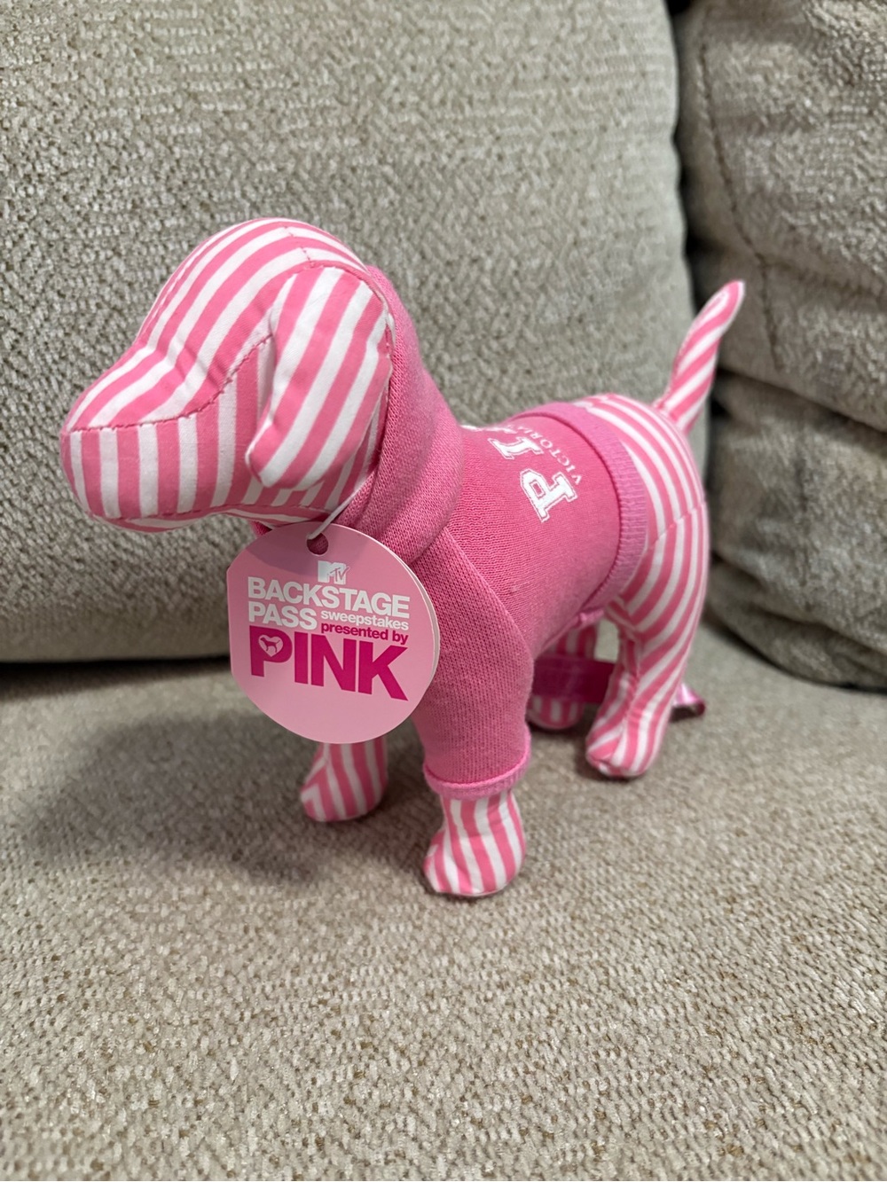 Victoria’s Secret Pink Dog Hoodie RARE MTV Backstage Pass Tag NWT VS PINK PUP